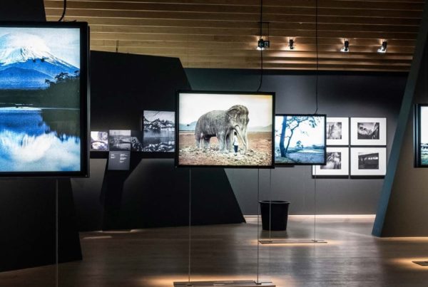 notte europea dei musei